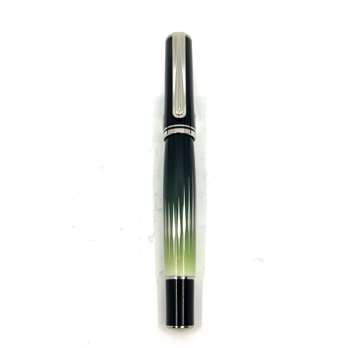 Pelikan M640 Polar Lights "Beauty of Nature" Special Edition Fountain Pen (2008)