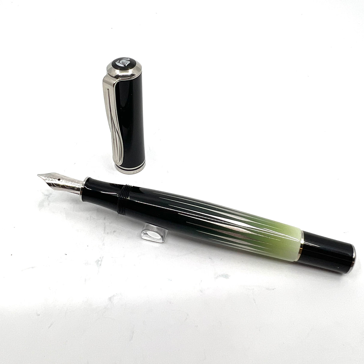 Pelikan M640 Polar Lights "Beauty of Nature" Special Edition Fountain Pen (2008)