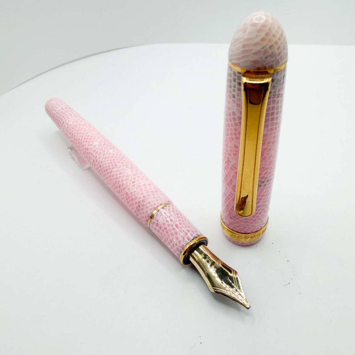 Platinum #3776 Century Celluloid Cherry Blossom Fountain Pen - Music (Italic) 14kt Gold Nib
