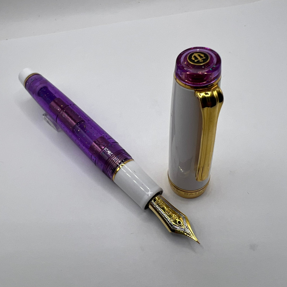 Sailor Purple Rain Pro Gear Fountain Pen - Extra Fine 21kt Gold Nib