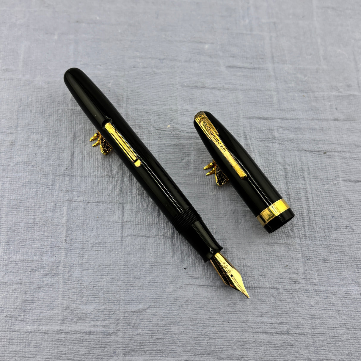 Waterman Black Emblem Fountain Pen