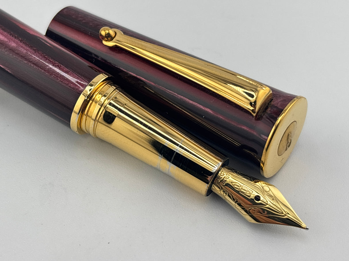 Delta Papillon Variegated Streaked Burgundy Resin Fountain Pen - Fine 18kt Gold Nib