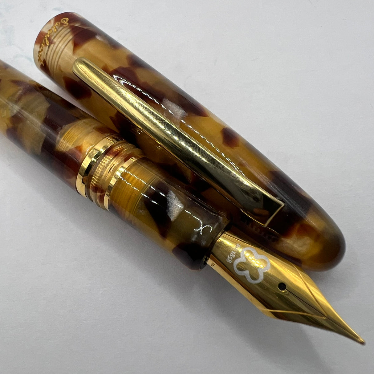 Esterbrook Estie Tortoise Regular Size Fountain Pen - Fine Gold-Plated Nib