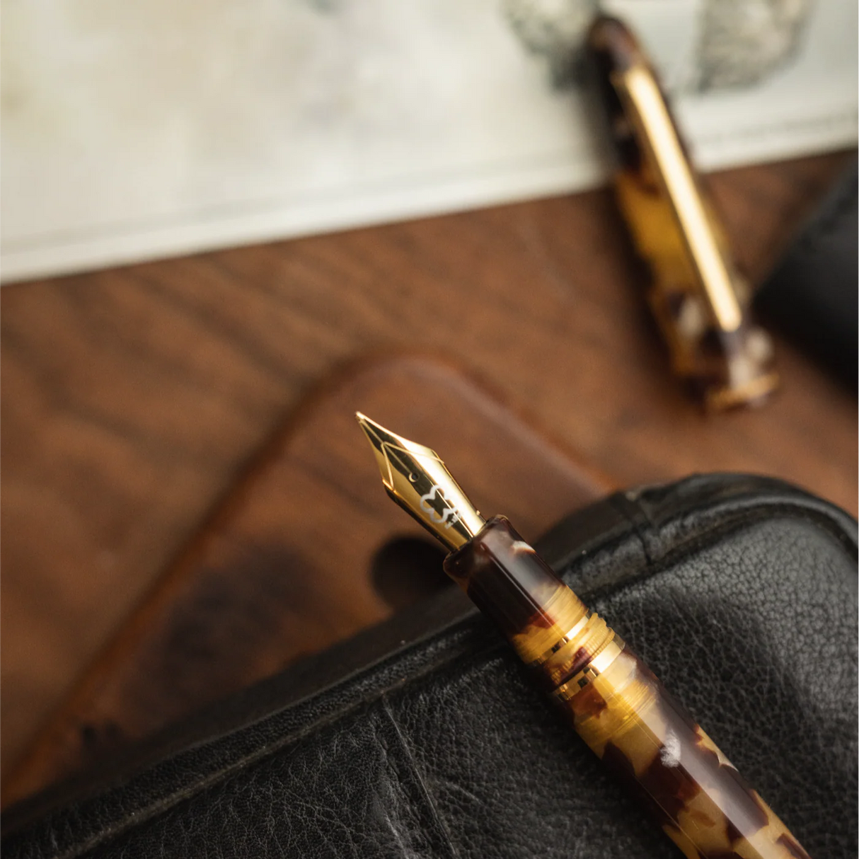 Esterbrook Estie Tortoise with Gold Trim Fountain Pen