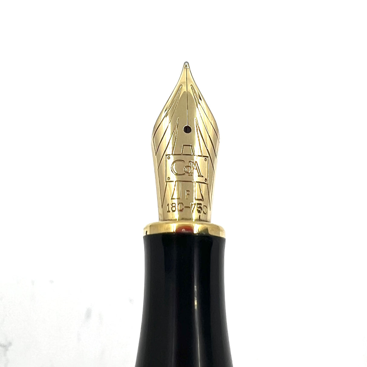 Caran D'ache Leman Green Marbled Fountain Pen