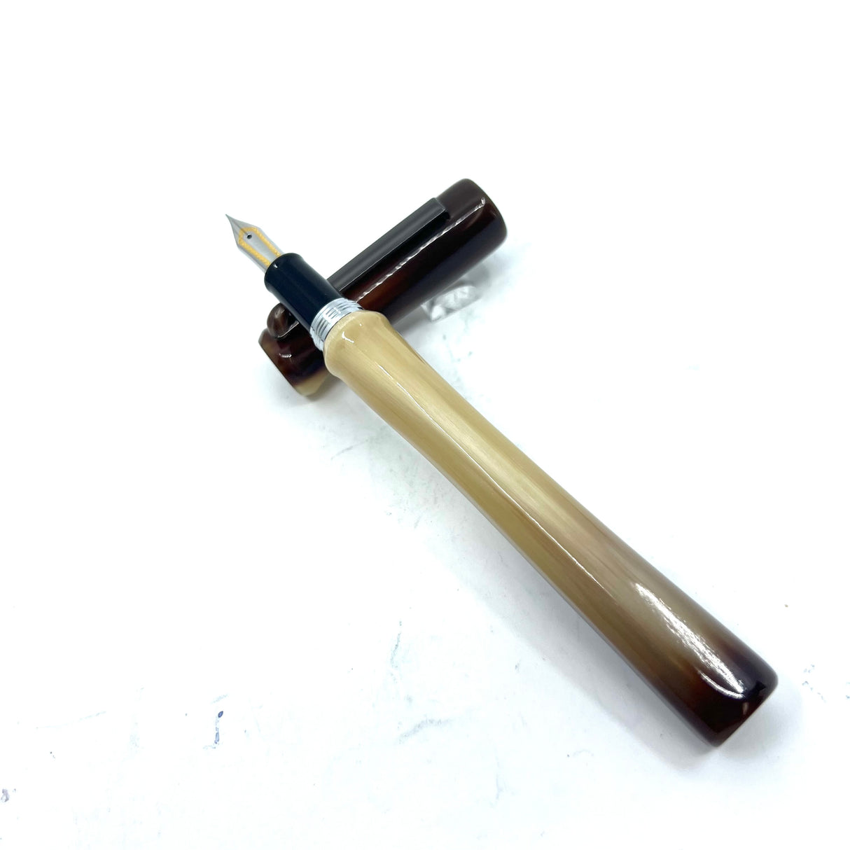 Taccia Savanna Buffalo Horn Fountain Pen