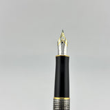 Parker Sonnet Cisele 18K750 GOLD NIB - Fountain Pen