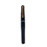 Pilot Blue Lacquered Bamboo Design Fountain Pen