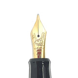 Pilot Fountain Pen for Maruzen (Iconic Japanese Book, Stationer & Pen Shop) - Broad 14kt Gold Nib