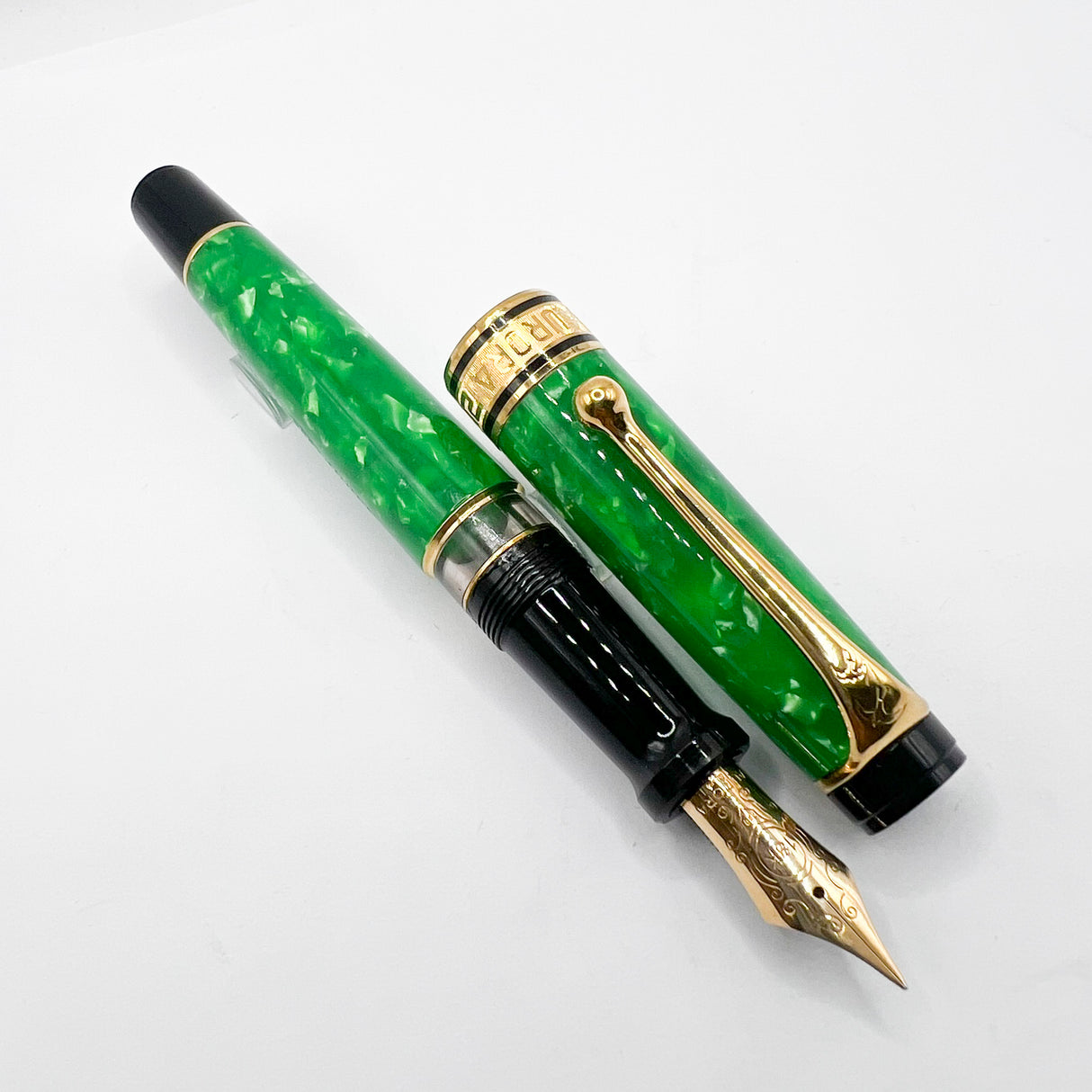 Aurora Optima Primavera Marbled Green Limited Edition Fountain Pen - Extra Fine 18kt Gold Nib
