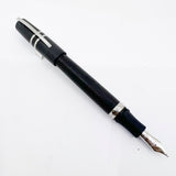 Visconti Homo Sapiens Steel Age Fountain Pen - Very Flexible 1.3mm Stub 23K Palladium Nib!
