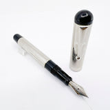 Visconti Giacomo Leopardi Sterling Silver Limited Edition Fountain Pen - Medium 14kt Gold Nib