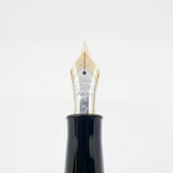 PLATINUM Mother of Pearl 80th Anniversary Fountain Pen Special Anniversary 1999 - Extra Fine 18kt Gold Nib
