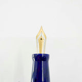 Delta Israel 50th Anniversary Limited Edition Fountain Pen - Fine 18kt Gold Nib