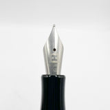 Edelberg (Swiss) Tachys Large Fountain Pen - Semi-Flexible Titanium Fine Nib