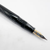 OMAS Princess Paragon Extra Platinum Celluloid Fountain Pen with Tassel -  Medium 18kt Gold Nib