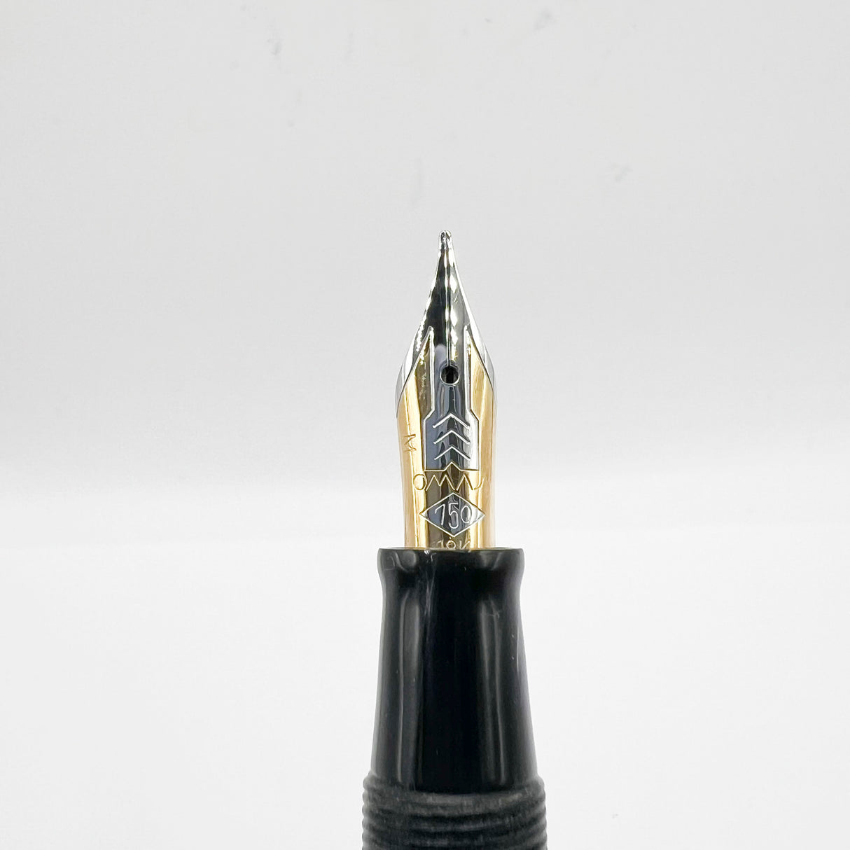 OMAS Princess Paragon Extra Platinum Celluloid Fountain Pen with Tassel -  Medium 18kt Gold Nib
