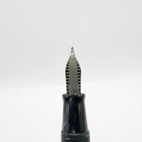 OMAS Princess Paragon Extra Platinum Celluloid Fountain Pen with Tassel -  Medium 18kt Gold Nib