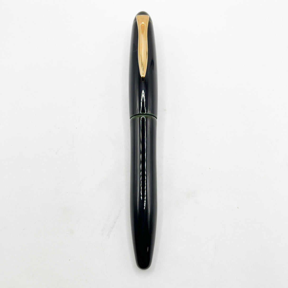 Platinum Izumo Urushi Oversized Fountain Pen - Sora (Dark Green) -  Fine 18kt Gold Nib
