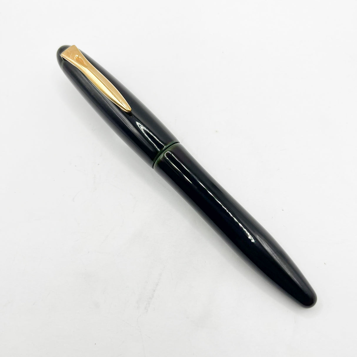 Platinum Izumo Urushi Oversized Fountain Pen - Sora (Dark Green) -  Fine 18kt Gold Nib