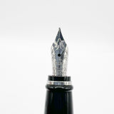 Aurora Sterling Silver Quadra Fountain Pen  - Fine 14kt Gold Nib