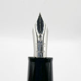 Delta DV Oversize Fountain Pen with Sterling Silver Cap Band - Oversized Medium 14kt Gold Nib