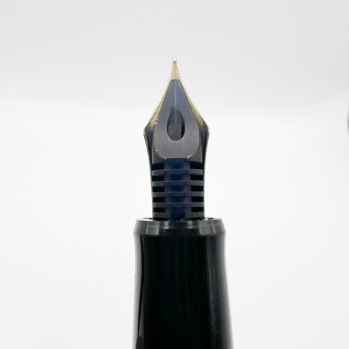Pilot Namiki Nippon Art Wildflowers Fountain Pen  - Fine 14kt Gold Nib