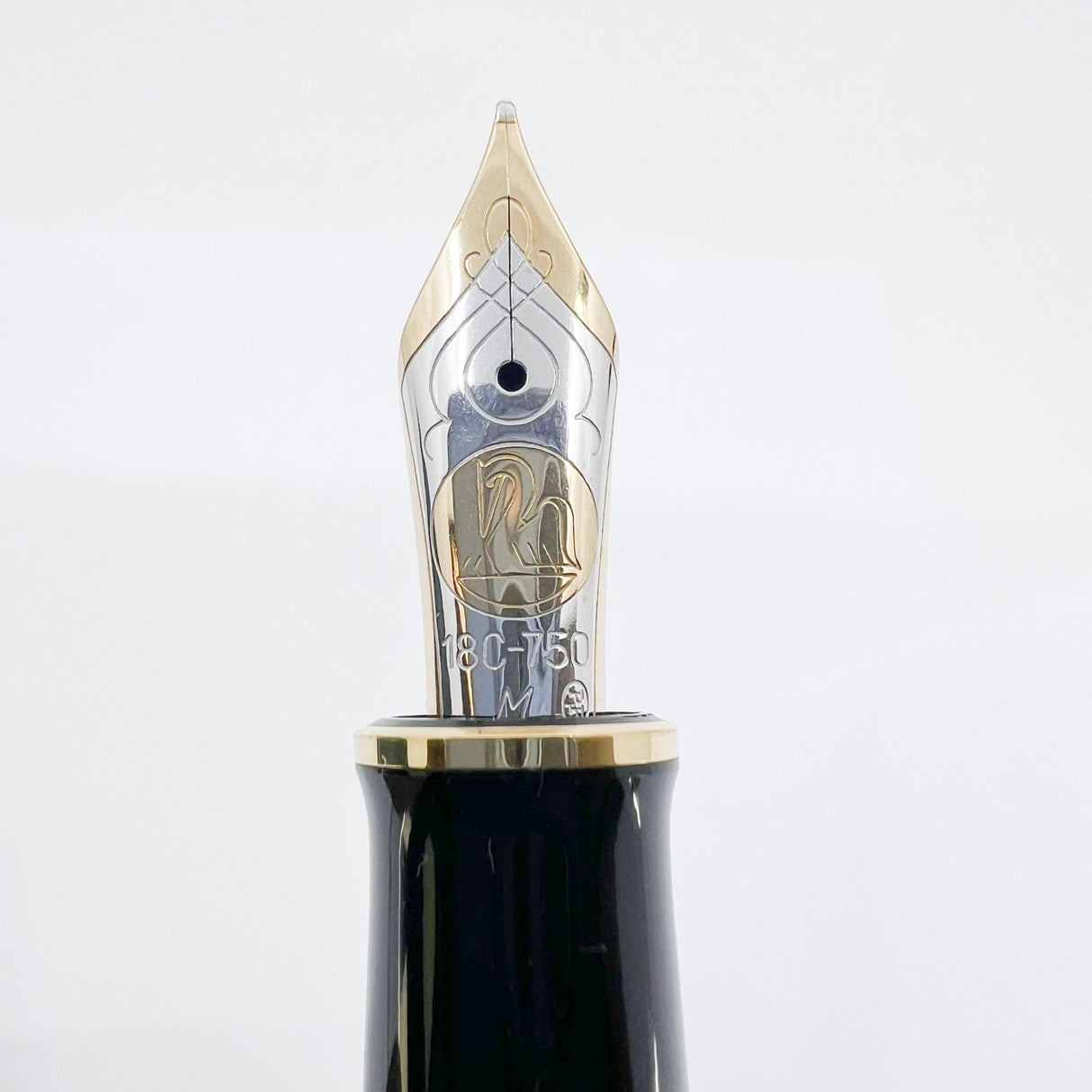 Pilot Justus 95 Fountain Pen - Flexible Architect's Grind  14kt Gold Nib Customized from a Medium