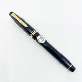 Pilot Justus 95 Fountain Pen - Flexible Architect's Grind  14kt Gold Nib Customized from a Medium