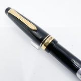 Pilot Justus 95 Fountain Pen - Flexible Architect's Grind  14kt Gold Nib Customized from a Medium