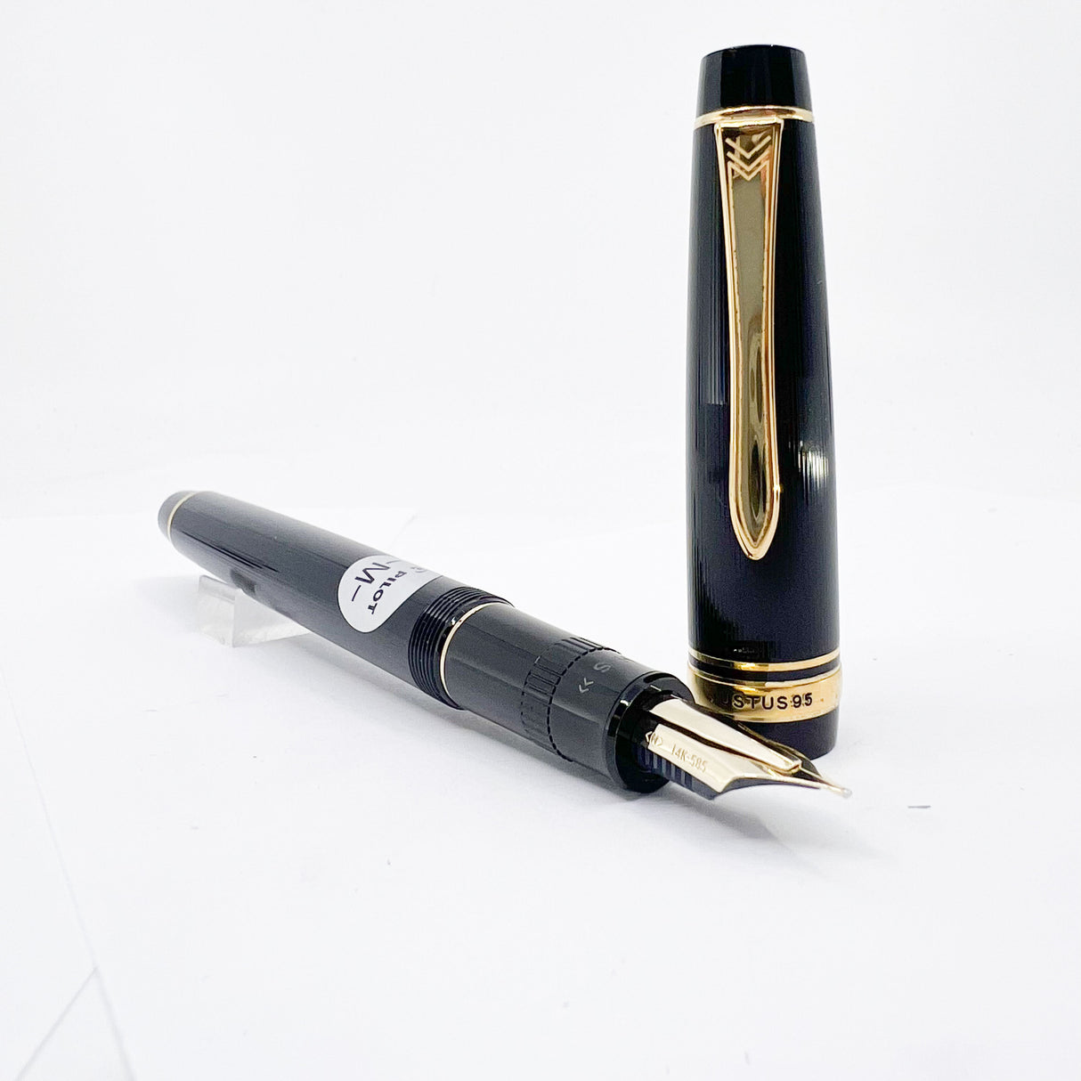 Pilot Justus 95 Fountain Pen - Flexible Architect's Grind  14kt Gold Nib Customized from a Medium