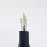 Visconti Homo Sapiens Bronze Age Fountain Pen -  Very Flexible Extra Fine 23K Palladium Nib