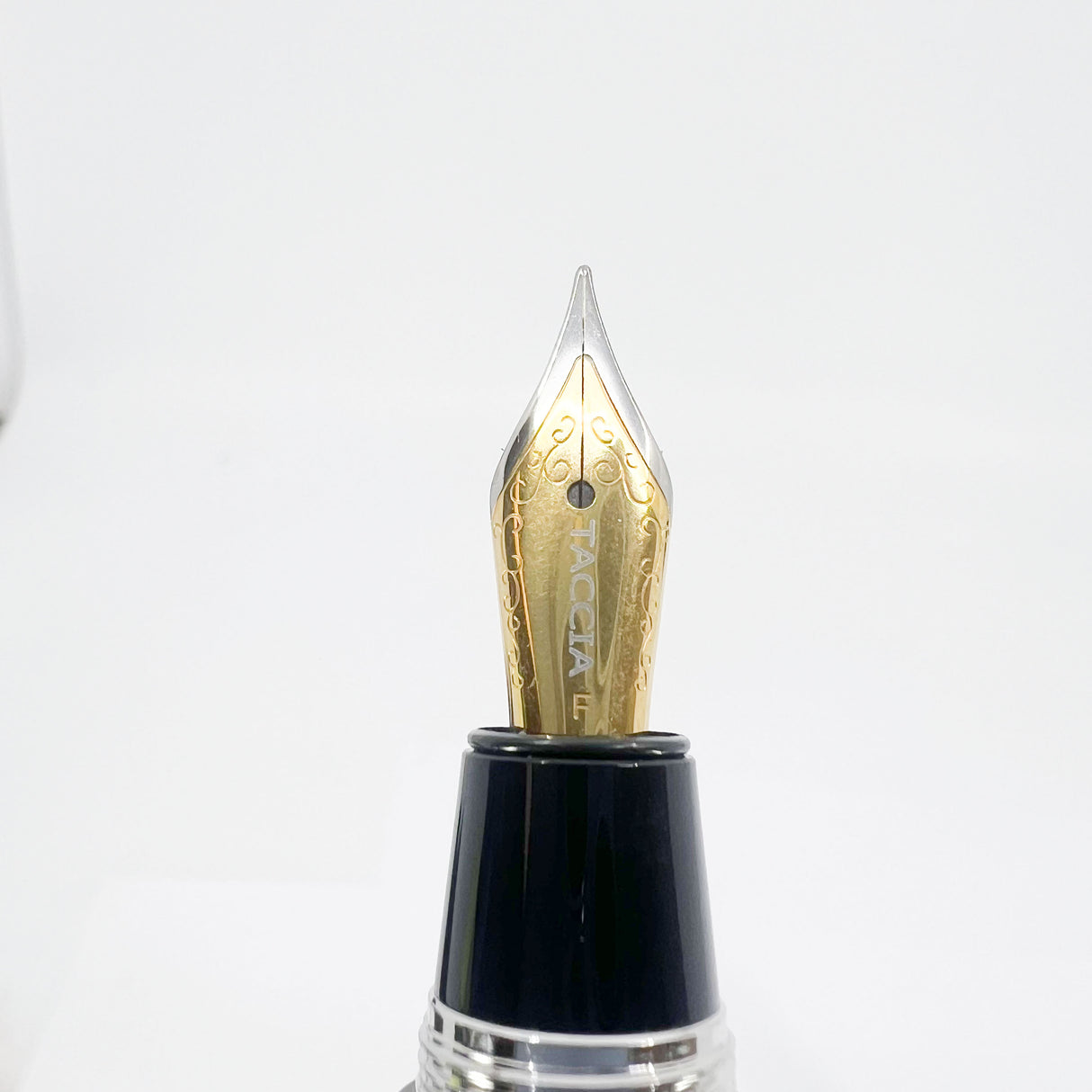 Taccia Savanna Buffalo Horn Fountain Pen - Fine Gold-Plated Nib