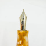 Delta Pantheon Limited Edition Fountain Pen - Extra Fine 18kt Gold Nib - A Fountain Pen Hospital Exclusive Circa 2000