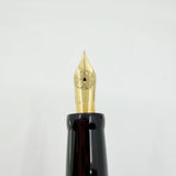 Delta Indios Indigenous People Lever Fill Fountain Pen Special Limited Edition - Extra Fine 18kt Gold Nib