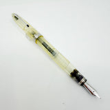 OMAS "Vision" Ogiva Transparent Fluted Demonstrator Fountain Pen - Fine 18kt Gold Nib