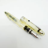 OMAS "Vision" Ogiva Transparent Fluted Demonstrator Fountain Pen - Fine 18kt Gold Nib