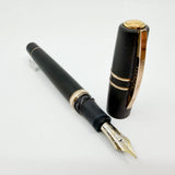 Visconti Homo Sapiens Bronze Age Fountain Pen - Flexible Broad 23K Palladium Nib