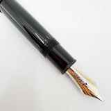 Montblanc Meisterstuck #P149 (Largest) Fountain Pen with Platinum Plated Trim - Fine 18kt Gold Nib