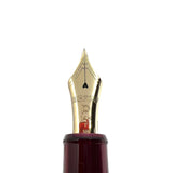 Platinum #3776 Bourgogne Burgundy GT Fountain Pen