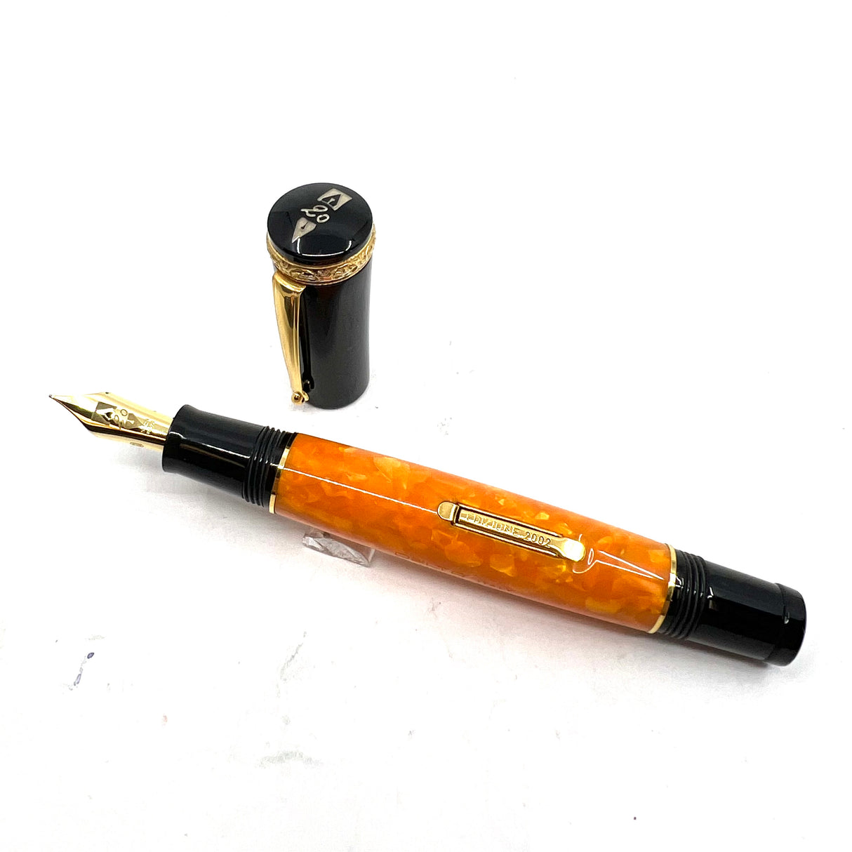 Delta  20th Anniversary Limited Edition Fountain Pen
