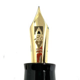 Delta  20th Anniversary Limited Edition Fountain Pen