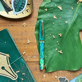 Esterbrook JR Beleza Fountain Pen Collection