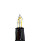 Delta - The Original Oversized DolceVita Sterling Silver Trim Fountain Pen - Extra Fine 18kt Gold Nib