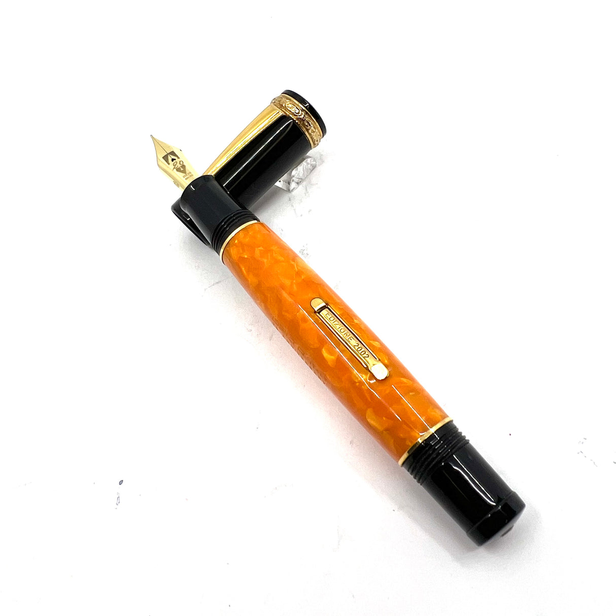 Delta  20th Anniversary Limited Edition Fountain Pen