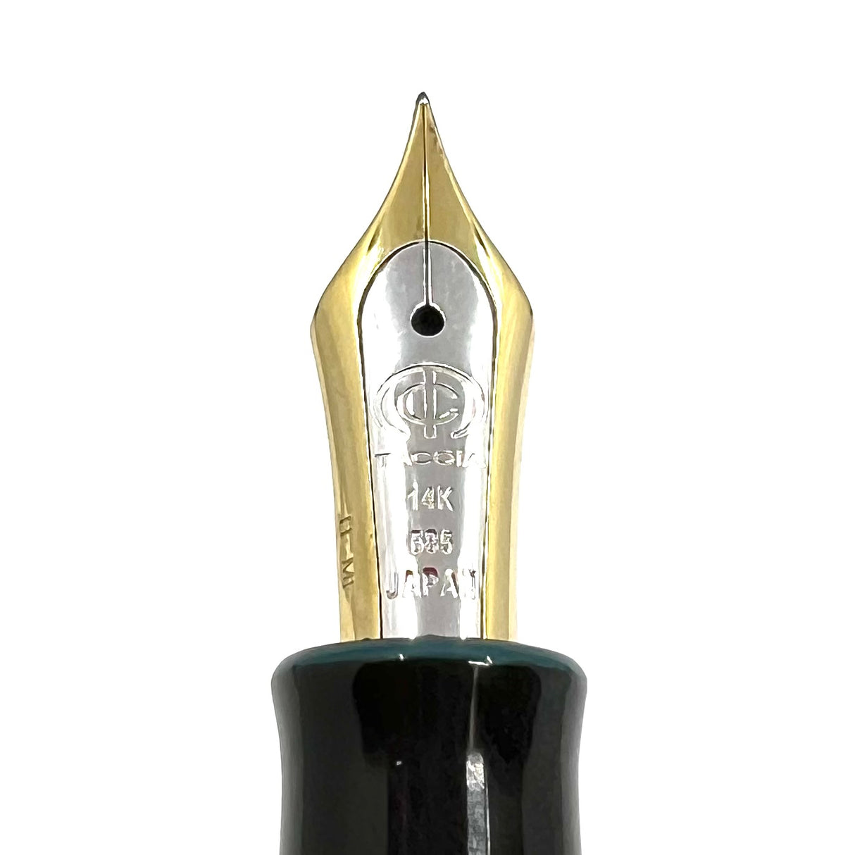 Taccia Kaku-Tate Wide Striped Aquarium Limited Edition Fountain Pen