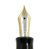 Taccia Kaku-Tate Wide Striped Aquarium Limited Edition Fountain Pen