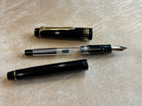 Pilot Justus 95 Fountain Pen - 14K Fine nib