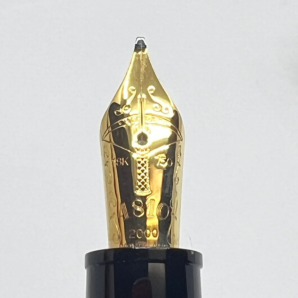 Montblanc Friedrich Schiller Writer Series Ltd. Ed. Fountain Pen
