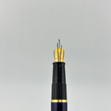 Waterman Phileas blue Marble Beautiful set  - Fountain Pen